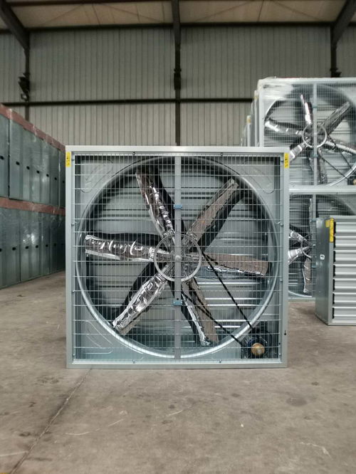 無(wú)動(dòng)力風(fēng)機(jī)報(bào)價(jià) 廠(chǎng)家